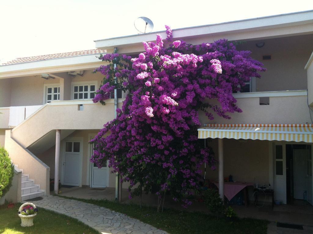 Apartments Ada Bojana Ulcinj Rum bild